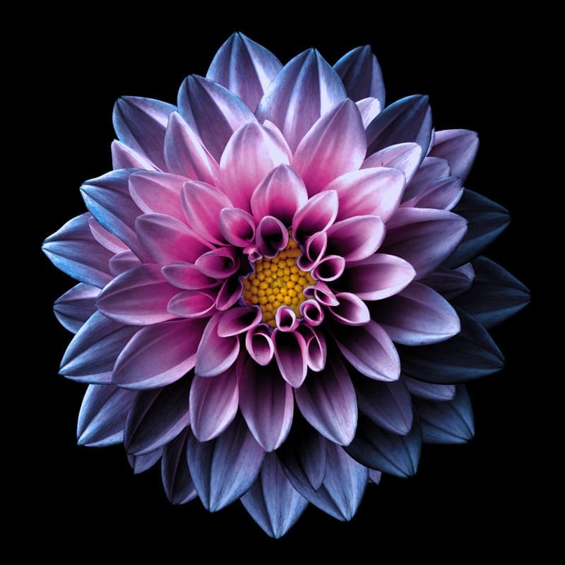 graphic Design services in Long Island