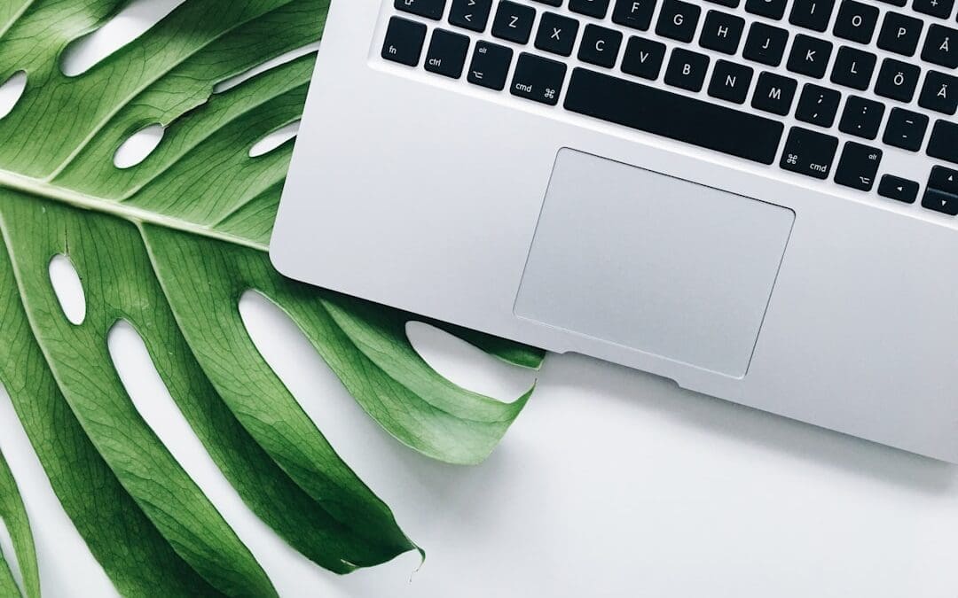 Boost Your Online Presence with Web Design & SEO Services