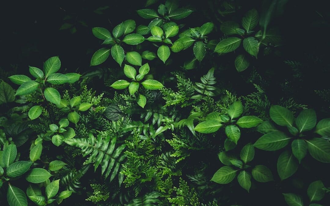 Evergreen Content Ideas for Small Business Web Design Blogs